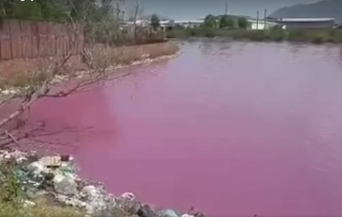 Lộ diện “thủ phạm” khiến hồ nước hơn 10ha chuyển màu hồng