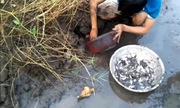 Tuyệt chiêu bẫy cá lóc bằng chai nhựa ở Tây Nguyên
