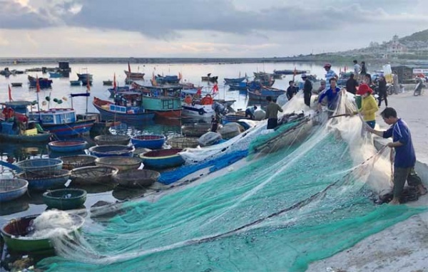 Quảng Ngãi: Chèo thúng đi đánh cá cơm quế kiếm tiền triệu/buổi