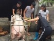 Người bị hắt dầu luyn vì bán thịt lợn giá rẻ: “Tôi không mong 2 người hại mình bị xử hình sự”