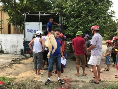 Nghệ An: Xúm tay "giải cứu" vịt cho nông dân, giá 70.000 đồng/con