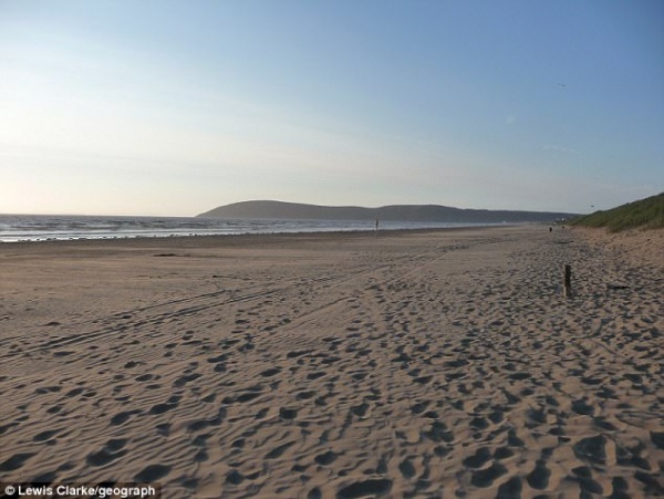Dắt chó đi dạo trên bãi biển, phát hiện điều kinh hoàng