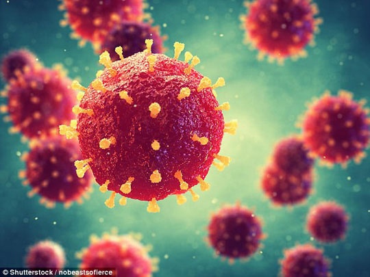 Tái xuất virus sốt xuất huyết hiếm, khủng khiếp như Ebola