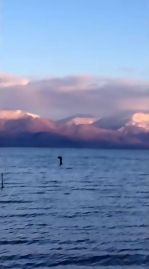 Nhìn thấy quái vật hồ Loch Ness đi nghỉ lễ Giáng sinh?