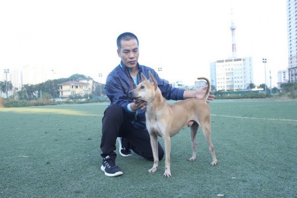 Mục sở thị trang trại nuôi chó Phú Quốc bạc tỷ ở Hà Nội