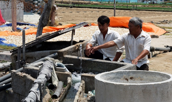 Người trồng hành tố trại giống thủy sản làm nước nhiễm mặn