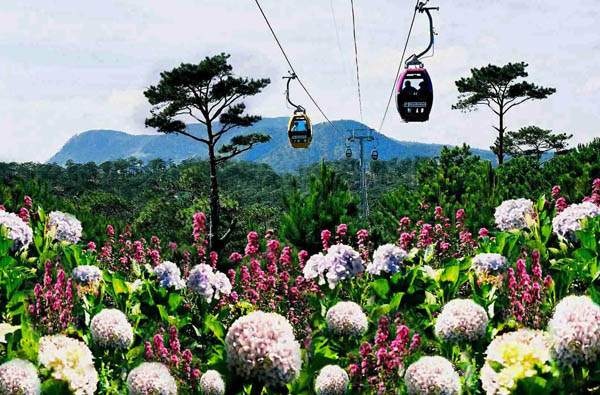 Đưa Lâm Đồng thành vựa rau, hoa và điểm du lịch xanh số 1 ASEAN