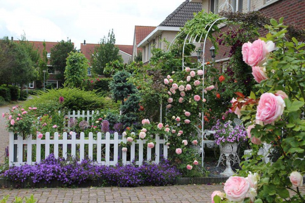 Mê mẩn ngôi nhà phủ kín hoa hồng rực rỡ đẹp như trong mơ của mẹ Việt ở Hà Lan