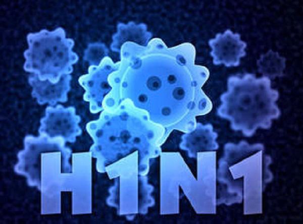 Cúm A/H1N1 có thể sống trong bể bơi... 4 ngày nhưng phòng được nhờ tinh dầu tràm