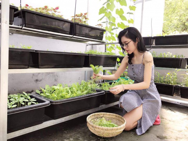 Bận tối ngày, Elly Trần vẫn chịu khó làm... nông dân trồng rau sạch, quả sai trĩu trên sân thượng