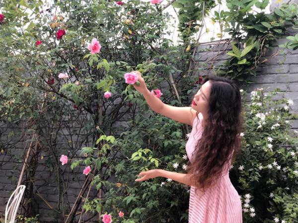 Xiêu lòng trước sân thượng rực rỡ hoa hồng của bà mẹ ở Hà Nội
