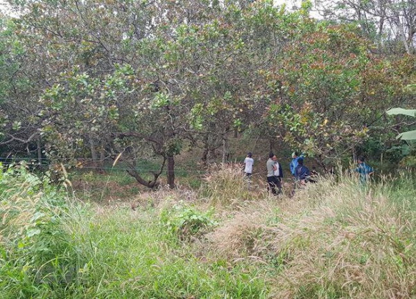 Vụ thi thể phân hủy trên ngọn cây ở Bình Phước: Người dân hé lộ tình tiết bất ngờ
