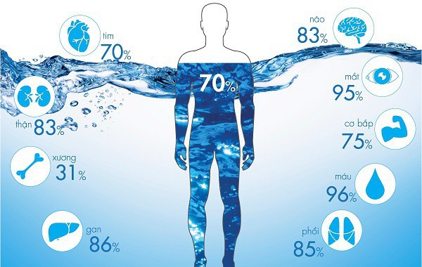 Uống 2 lít nước/ngày là đủ: Rất nhiều người đang hiểu sai gây hệ lụy lớn đối với sức khỏe