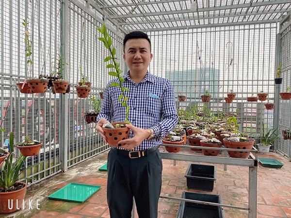Nghệ nhân Phạm Hữu Hùng cùng phương pháp trồng lan đạt hiệu quả cao