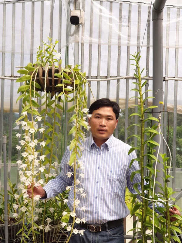 Nghệ nhân Nguyễn Thế Giáo dành cả tuổi trẻ để theo đuổi đam mê hoa lan