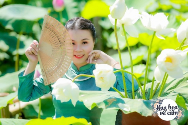 Say mê sen Đế Vương, mẹ Hà Nội “chịu chơi”, đưa hoa bằng máy bay từ Huế ra thủ đô