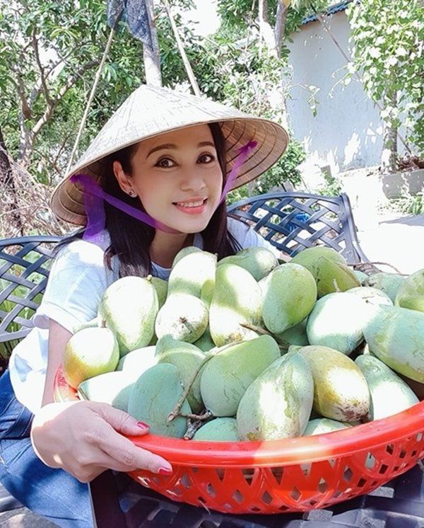 Sau dịch Việt Trinh trở về biệt thự ở Bình Dương, thu hoạch 1 sân đầy hoa quả