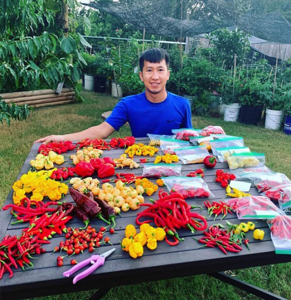 Chàng trai Việt sở hữu khu vườn 300m2 trên đất Mỹ, trồng 2000 loại ớt khác nhau