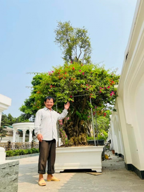 Nghệ sĩ Quang Tèo khoe vườn hoa trong biệt thự mới, toàn cây to bự không kém nhà đại gia
