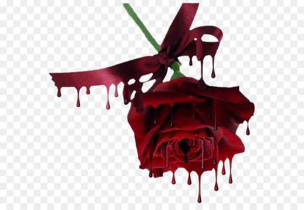 Sự "lãng mạn tàn nhẫn" của kẻ cuồng yêu khi trang trí 99 bông hồng bên thi thể người tình