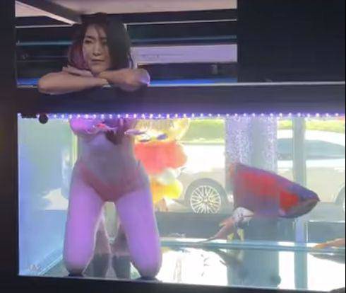 Cửa hàng thuê hotgirl mặc bikini ngồi trong bể cá "gây bão" mạng, mục đích đằng sau là gì?