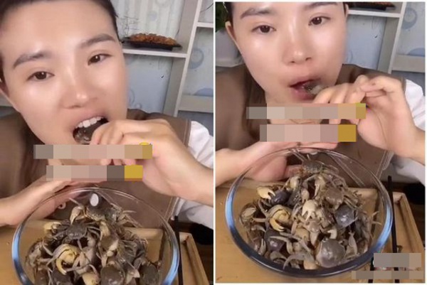 Nữ TikToker đăng video ăn cua sống còn đang bò, dân mạng than trời: "Quá kinh dị"