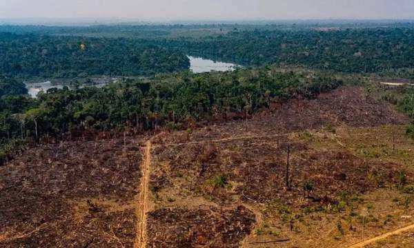 Rừng Amazon đang thải nhiều carbon hơn lượng hấp thụ
